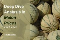 Deep dive in melon prices: A complete price study 2024/25