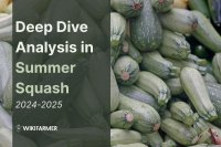 Deep Dive in Summer Squash Prices: A Complete Price Study 2025