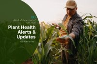 EU Plant Health Alerts 4th quarter of June 2025 - Overview for Farmers