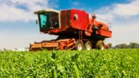 Qu'est-ce que l'agriculture commerciale?