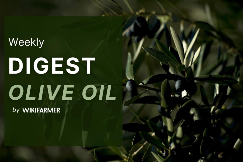 Olive Oil Market Digest w28/2025