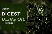 Olive Oil Market Digest w28/2025