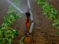 Qu'est-ce que l'irrigation déficitaire?