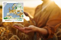 Seasonal Climate Forecast & Agricultural Outlook for Europe: August–September 2025