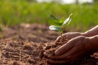 The living soil: Microbial allies for healthy farms