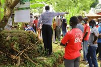 Three practical ways to scale regenerative farming in Kenya