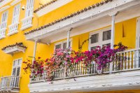 Tover je Balkon om tot een Mediterrane Oase: De Beste Zomerplanten voor Kleur & Geur