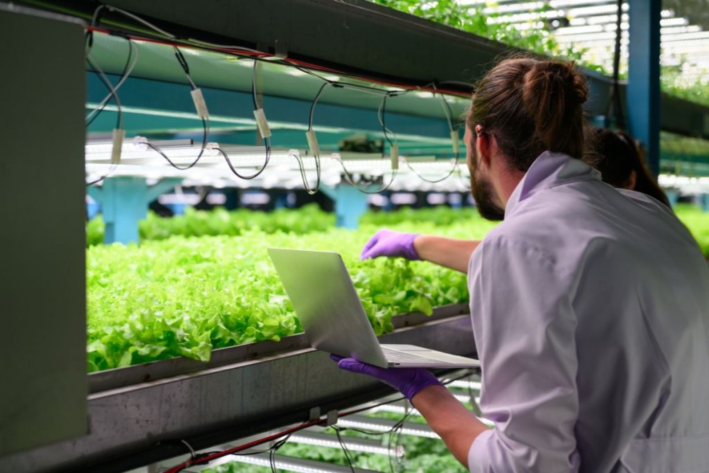 Vertical Farming Guide How to Build a Profitable Vertical Farm Guía de agricultura vertical: cómo construir una granja vertical rentable