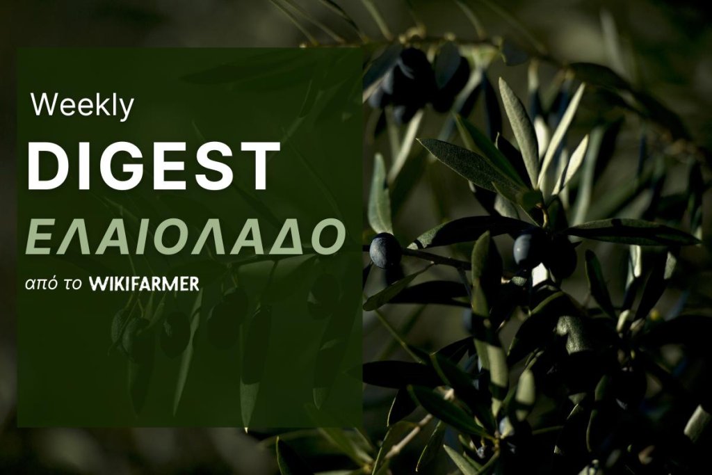 Η Αγορά του Ελαιολάδου w28/2025