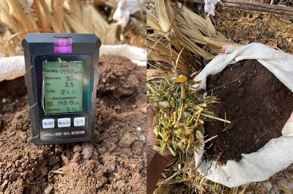 What's the best compost? - Insights from an experienced farmer | Wikifarmer