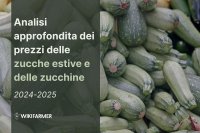 Analisi approfondita dei prezzi delle zucche estive e delle zucchine: studio completo sui prezzi 2024-2025