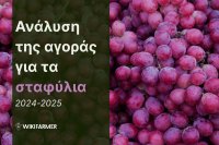 Ανάλυση τιμών της παγκόσμιας αγοράς σταφυλιών 2024-2025