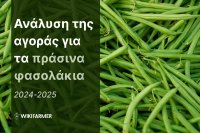 Ανάλυση τιμών της παγκόσμιας αγοράς φασολιών 2024-2025