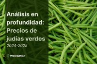 Análisis en Profundidad: Mercado Global de Judías Verdes 2024-2025