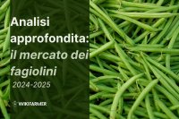 Analisi approfondita: il mercato mondiale dei fagiolini 2024-2025