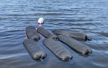 Comment utiliser le biochar comme détoxifiant des contaminants de l'eau dans la pisciculture Comment utiliser le biochar comme détoxifiant des contaminants de l'eau dans la pisciculture