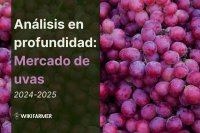 Análisis en profundidad: El mercado global de uvas