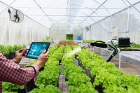 Designing smart CEA systems for urban farming: Boosting yields in limited spaces