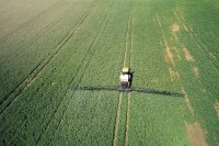 How herbicides work: Mechanisms of action in weeds and crop plants