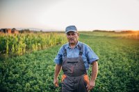 How to Start Organic Farming: Complete Beginner's Guide