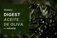 Precios del aceite de oliva y resumen del mercado – Semana 34, 2025