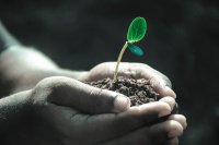 Nature runs in cycles, and the economy should too!