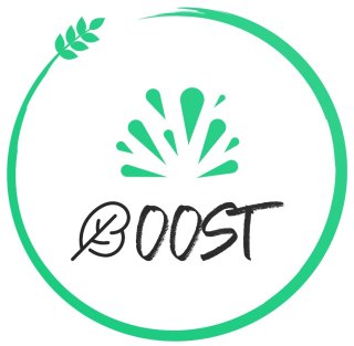 BOOST Project BOOST Project