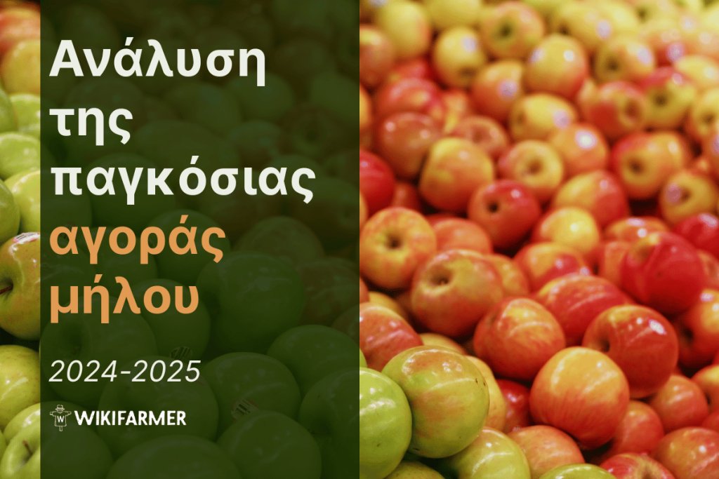 Ανάλυση τιμών της παγκόσμιας αγοράς μήλων 2024-2025