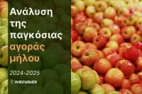 Ανάλυση τιμών της παγκόσμιας αγοράς μήλων 2024-2025