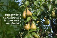 Παραγωγή αχλαδιών στην Ευρώπη 2025/26: Συγκομιδή και μετασυλλεκτική διαχείριση