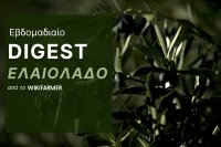 Τιμές ελαιολάδου εβδομάδα 39 Η αγορά και οι τιμές του ελαιολάδου: Εβδομάδα 39, 2025