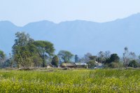 Agrobiodiversity conservation for climate-resilient agriculture in Nepal