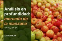 Análisis en profundidad: el mercado global de la manzana 2024-2025