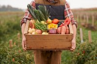 Biodiversity vs. monoculture: Why the way we farm matters more than ever