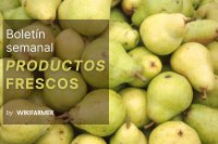 Boletín del Mercado Fresco: Semana 39