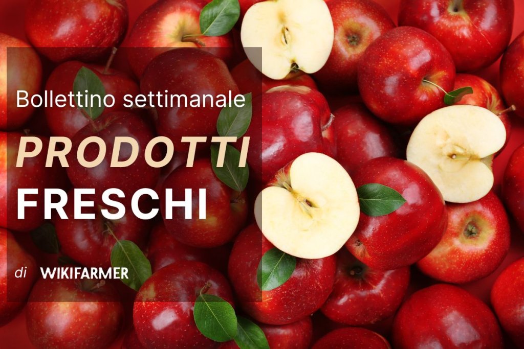 Bollettino sul mercato dei prodotti freschi - settimana 38/2025