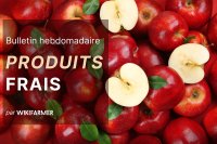Bulletin sur le marché des produits frais - Semaine 38/2025
