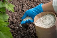 Can we feed the world without industrial fertilizers?