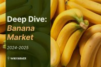 Deep Dive: Global Banana Market 2024-2025