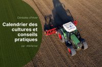 Gestion des céréales d'hiver en Europe pour la campagne 2025/2026