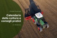Gestione dei cereali autunno-vernini in Europa per la stagione 2025/2026 Gestione dei cereali autunno-vernini in Europa per la stagione 2025/2026