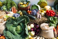 How novel visible light irradiation can reduce post-harvest losses