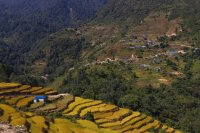 Integrating agrobiodiversity conservation into Nepal’s NAPA for climate change adaptation