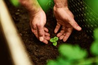 Natural Asset Companies: Can they help farmers finance regenerative agriculture?