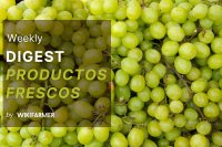 Boletín de Mercado Fresco: Semana 36