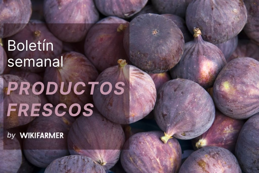 Boletín del mercado de frutas frescas: semana 37, 2025