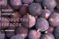 Boletín del mercado de frutas frescas: semana 37, 2025