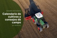 Manejo de cereales de invierno en Europa para la campaña 2025/2026