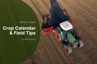 When to plant winter wheat: 2025/2026 season