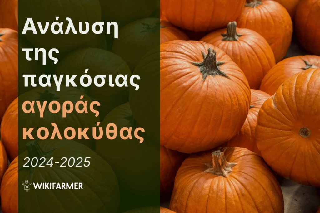 Ανάλυση τιμών της παγκόσμιας αγοράς κολοκύθας 2024-2025 Ανάλυση τιμών της παγκόσμιας αγοράς κολοκύθας 2024-2025